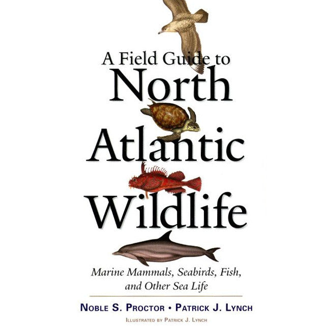 Una guía de campo para la vida silvestre del Atlántico norte: mamíferos marinos, aves marinas, peces y otra vida marina