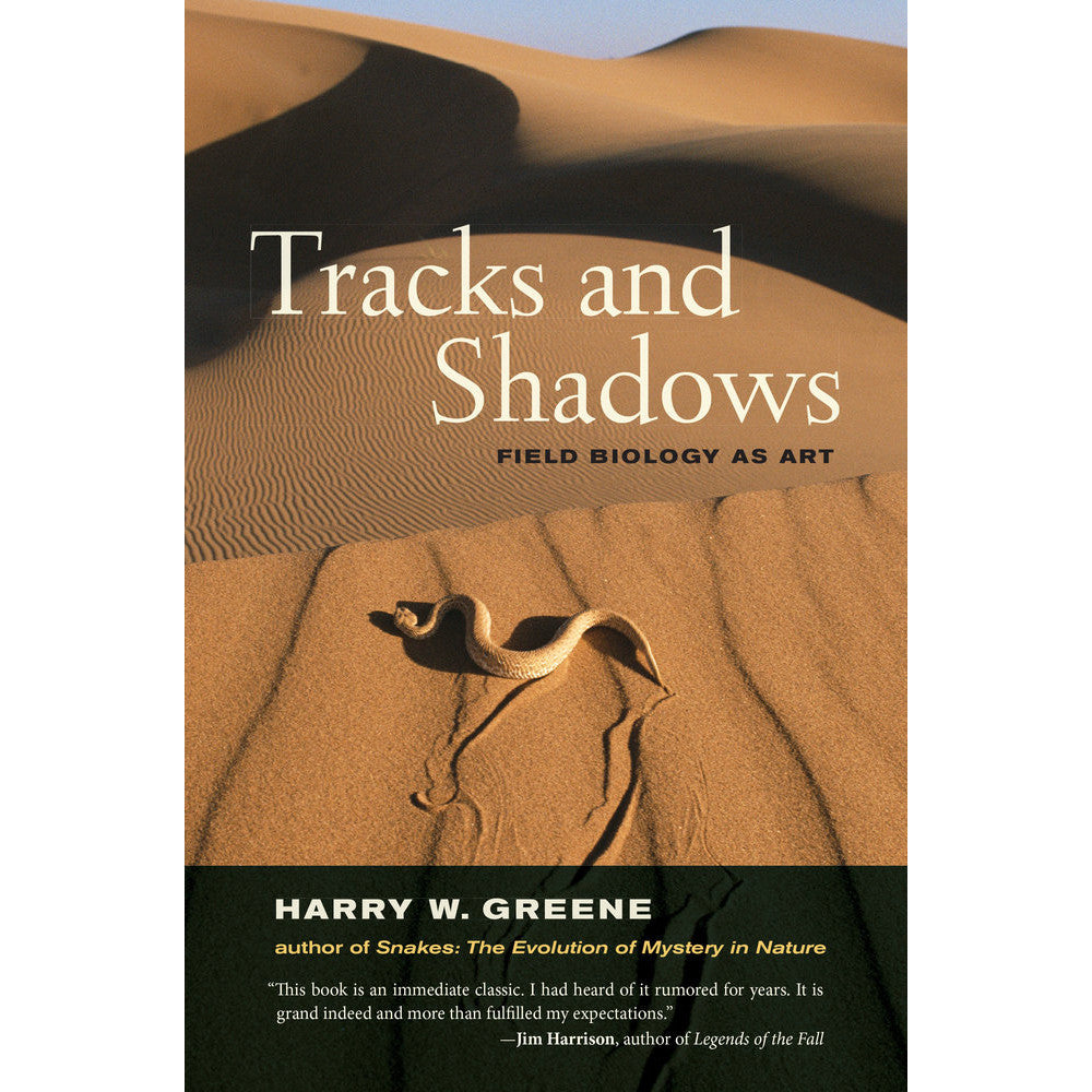 Huellas y sombras: la biología de campo como arte