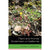 Plant and Animal Endemism in California