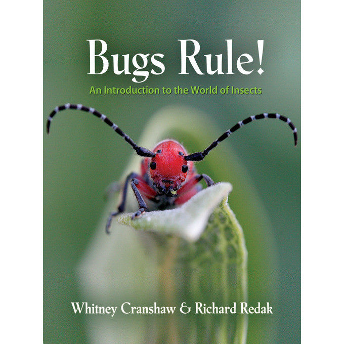 Bugs Rule!: An Introduction to the World of Insects