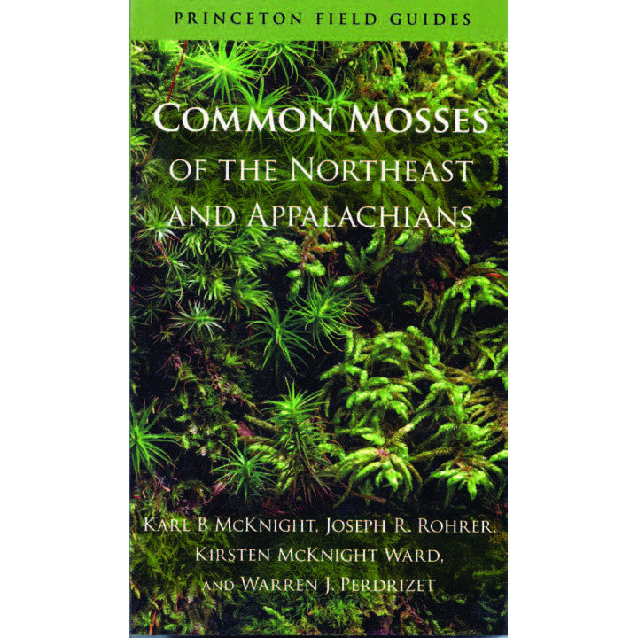 Common Mosses of the Northeast and Appalachians