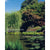 One Hundred Years in the Huntington's Japanese Garden: Harmony with Nature