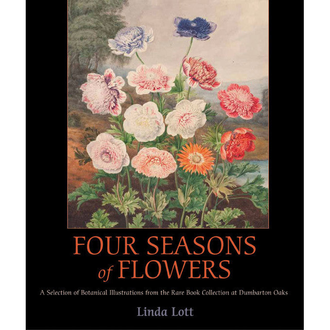 Four Seasons of Flowers: una selección de ilustraciones botánicas de la colección de libros raros en Dumbarton Oaks