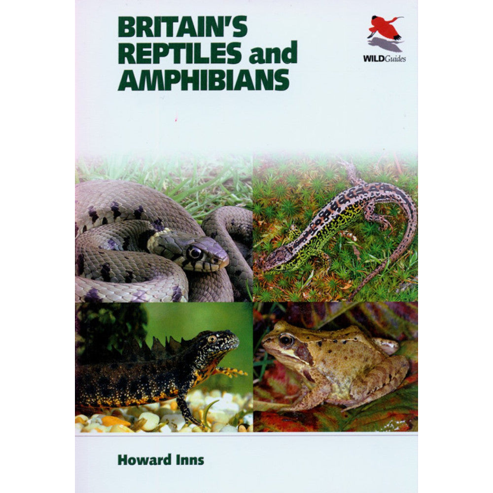 Reptiles y anfibios de Gran Bretaña