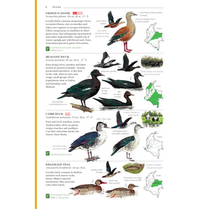 Field Guide to the Birds of Colombia, Third Edition.