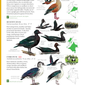 Field Guide to the Birds of Colombia