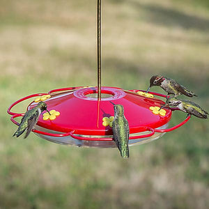 Perky-Pet Oasis Hummingbird Feeder