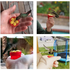 Comederos de colibrí de mano AROMA Trees Diseño original con percha 