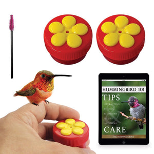 Comederos de colibrí de mano AROMA Trees Diseño original con percha 
