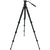 Tripod Celestron Regal Premium upto 175 cm / 8.8 lb