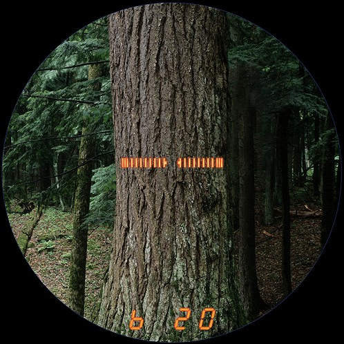 Dendrómetro electrónico BAF-Scope Criterion RD 1000 - Descatalogado ...