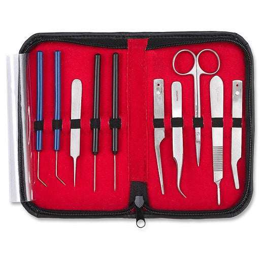 Kit Disección Entomológica x 5ud.