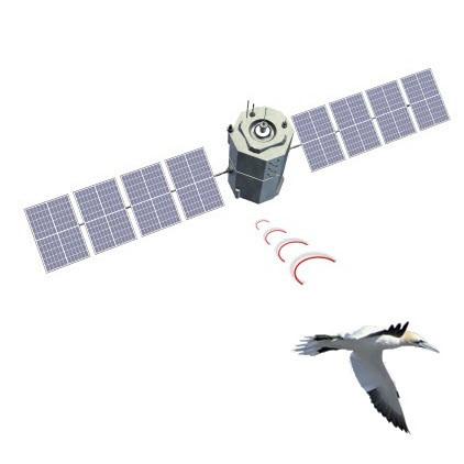 Globalstar Satellite System Data Transmission Service