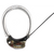 Holohil Radial Transmitters Type BD Series from 0.37 gr