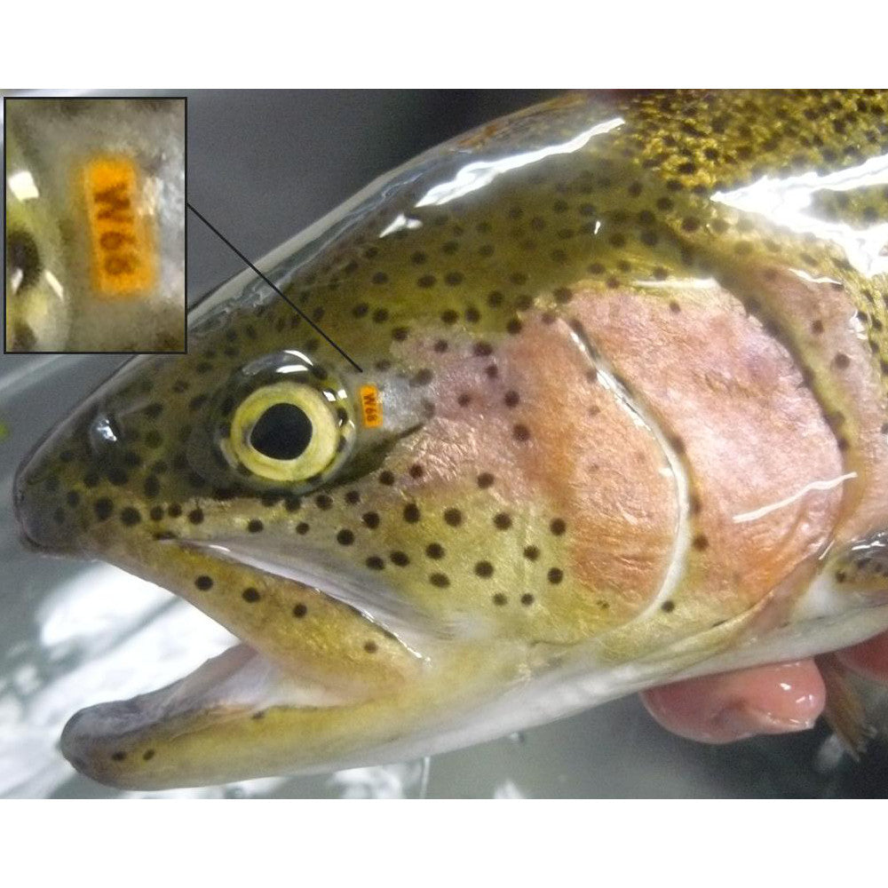 Visible Implant Alpha Tags (VI Alpha)