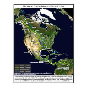 NorthStar Solar Satellite Tracking PTTs from 5 g