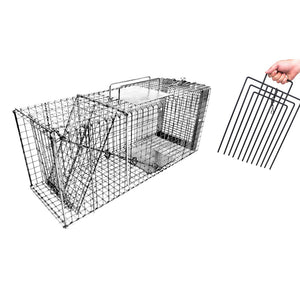 30" Cat Trap w/ Trap Divider