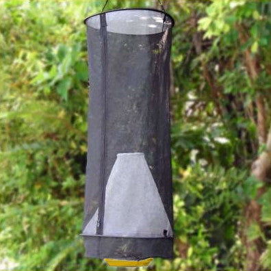 Butterfly Bait Trap